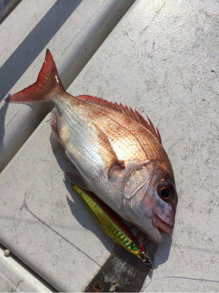 第二 海洋丸 釣果