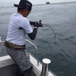 ビッグファイター 釣果