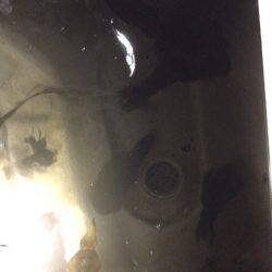 Monster Rush! 釣果