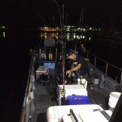 第二 海洋丸 釣果