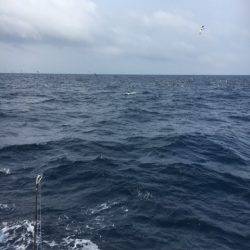 海楽隊 華栞丸 釣果