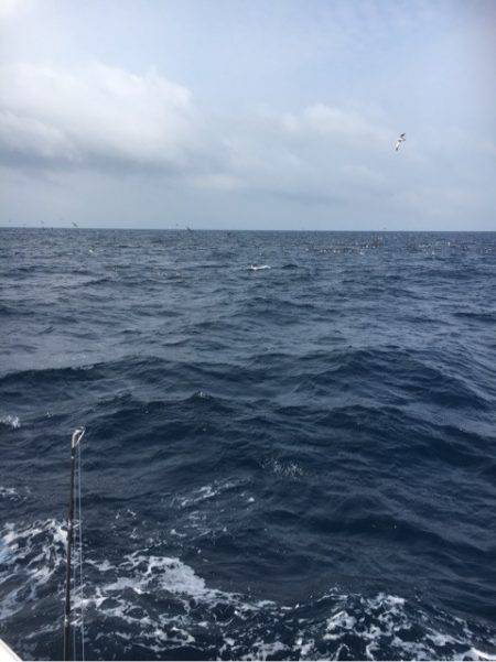 海楽隊 華栞丸 釣果