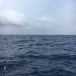 海楽隊 華栞丸 釣果