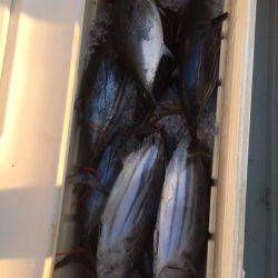 海楽隊 華栞丸 釣果