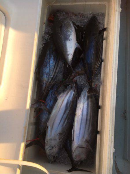 海楽隊 華栞丸 釣果