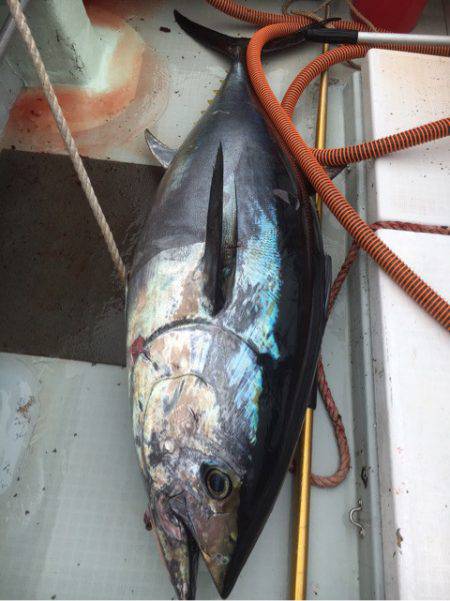 海楽隊 華栞丸 釣果