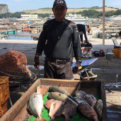 釣り堀水宝 釣果