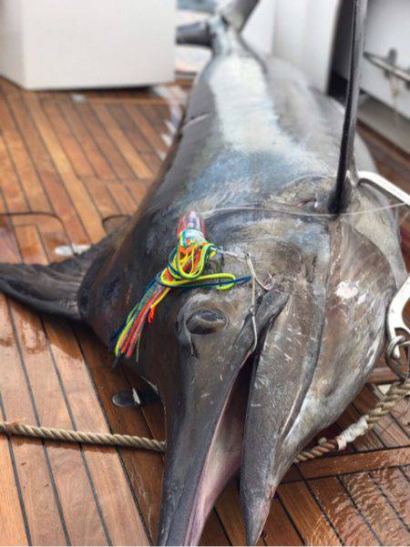 末広丸(熊本) 釣果