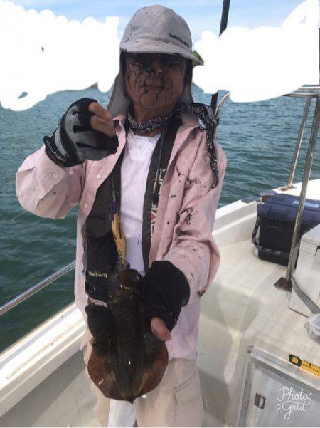 遊漁船メテオ 釣果