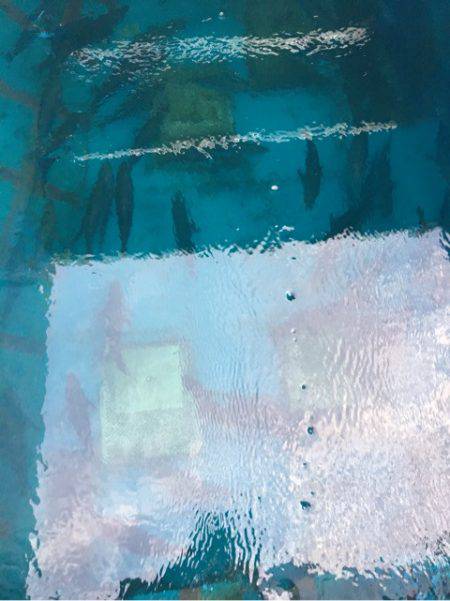 釣り堀水宝 釣果