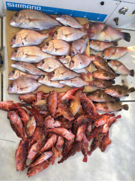 末広丸(熊本) 釣果