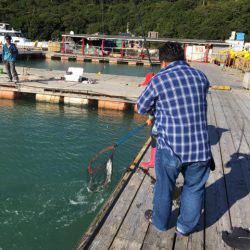釣り堀水宝 釣果