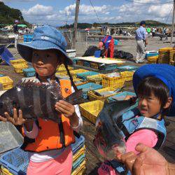 釣り堀水宝 釣果