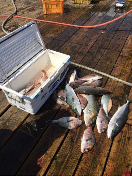釣り堀水宝 釣果