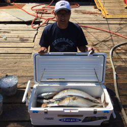 釣り堀水宝 釣果