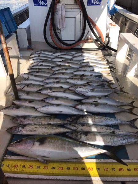 大雄丸 釣果