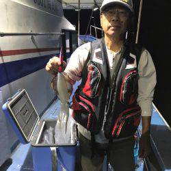 ヤザワ渡船 釣果