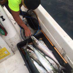 「LaGooN」蒼陽丸 日和号 釣果