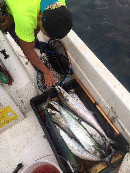 「LaGooN」蒼陽丸 日和号 釣果