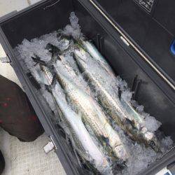 「LaGooN」蒼陽丸 日和号 釣果