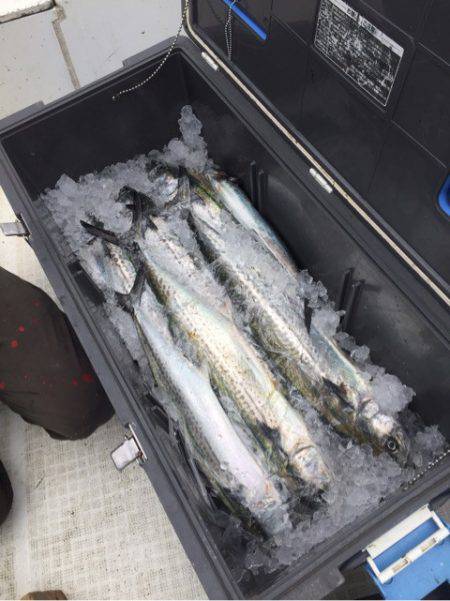 「LaGooN」蒼陽丸 日和号 釣果