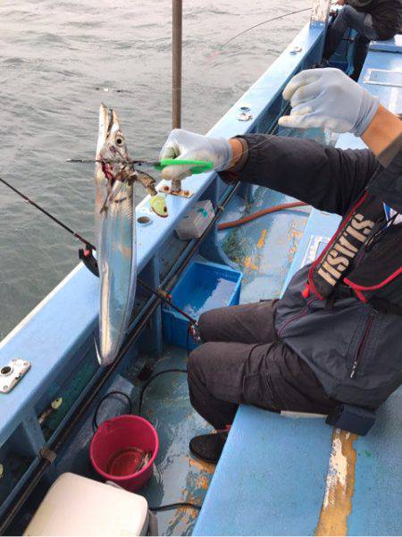 ヤザワ渡船 釣果