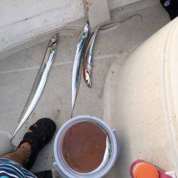 末広丸(熊本) 釣果