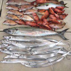 末広丸(熊本) 釣果