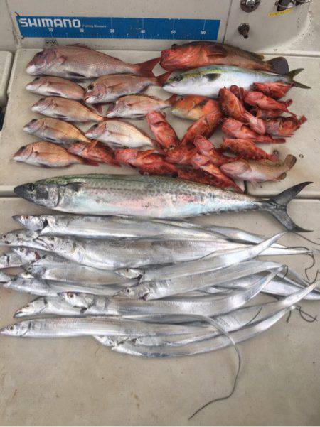 末広丸(熊本) 釣果