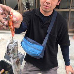 遊漁船メテオ 釣果