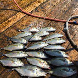 釣り堀水宝 釣果