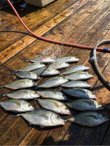 釣り堀水宝 釣果