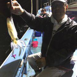 ヤザワ渡船 釣果