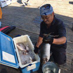 釣り堀水宝 釣果