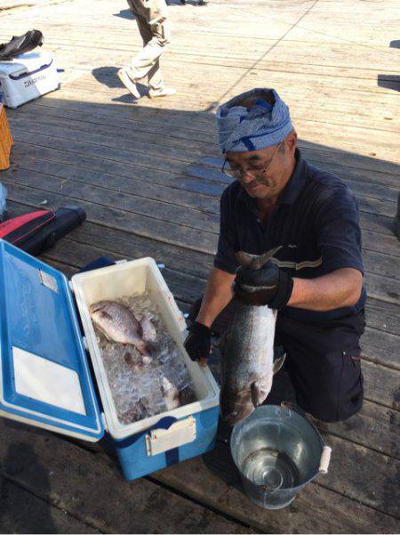 釣り堀水宝 釣果