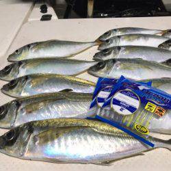 Monster Rush! 釣果