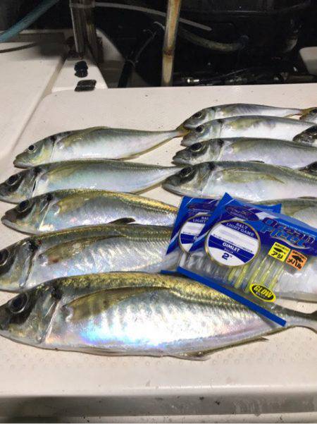 Monster Rush! 釣果