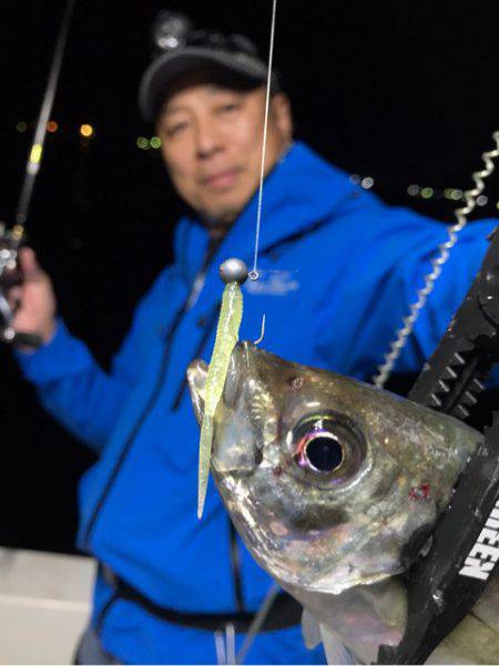 Monster Rush! 釣果