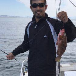 遊漁船メテオ 釣果
