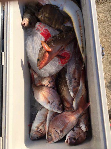 遊漁船メテオ 釣果