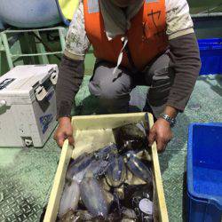 ヤザワ渡船 釣果