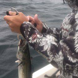 「LaGooN」蒼陽丸 日和号 釣果