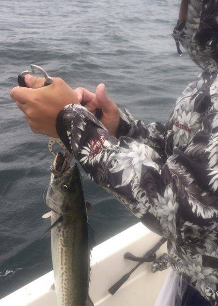 「LaGooN」蒼陽丸 日和号 釣果