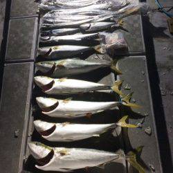 SeaRide(シーライド) 釣果