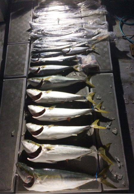 SeaRide(シーライド) 釣果