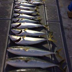 SeaRide(シーライド) 釣果