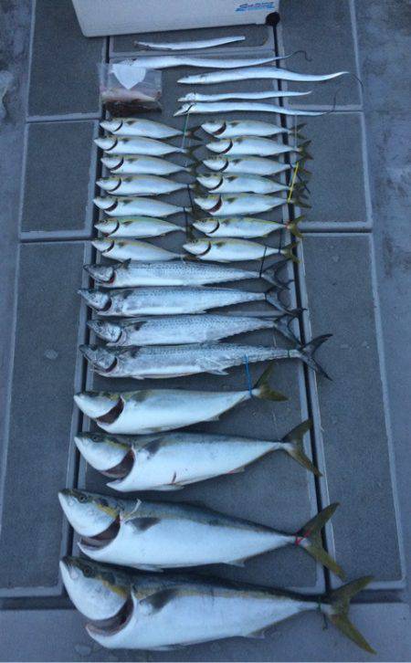 SeaRide(シーライド) 釣果