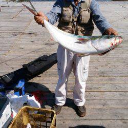 釣り堀水宝 釣果