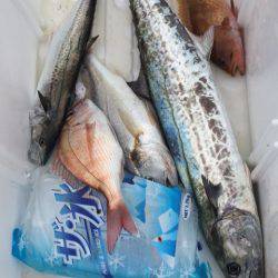 「LaGooN」蒼陽丸 日和号 釣果