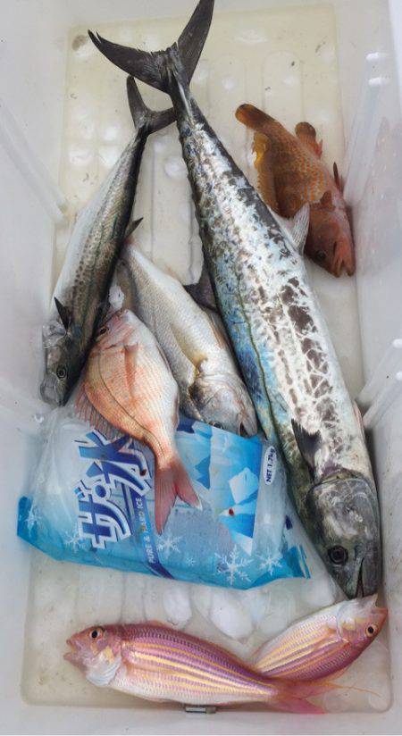 「LaGooN」蒼陽丸 日和号　 釣果